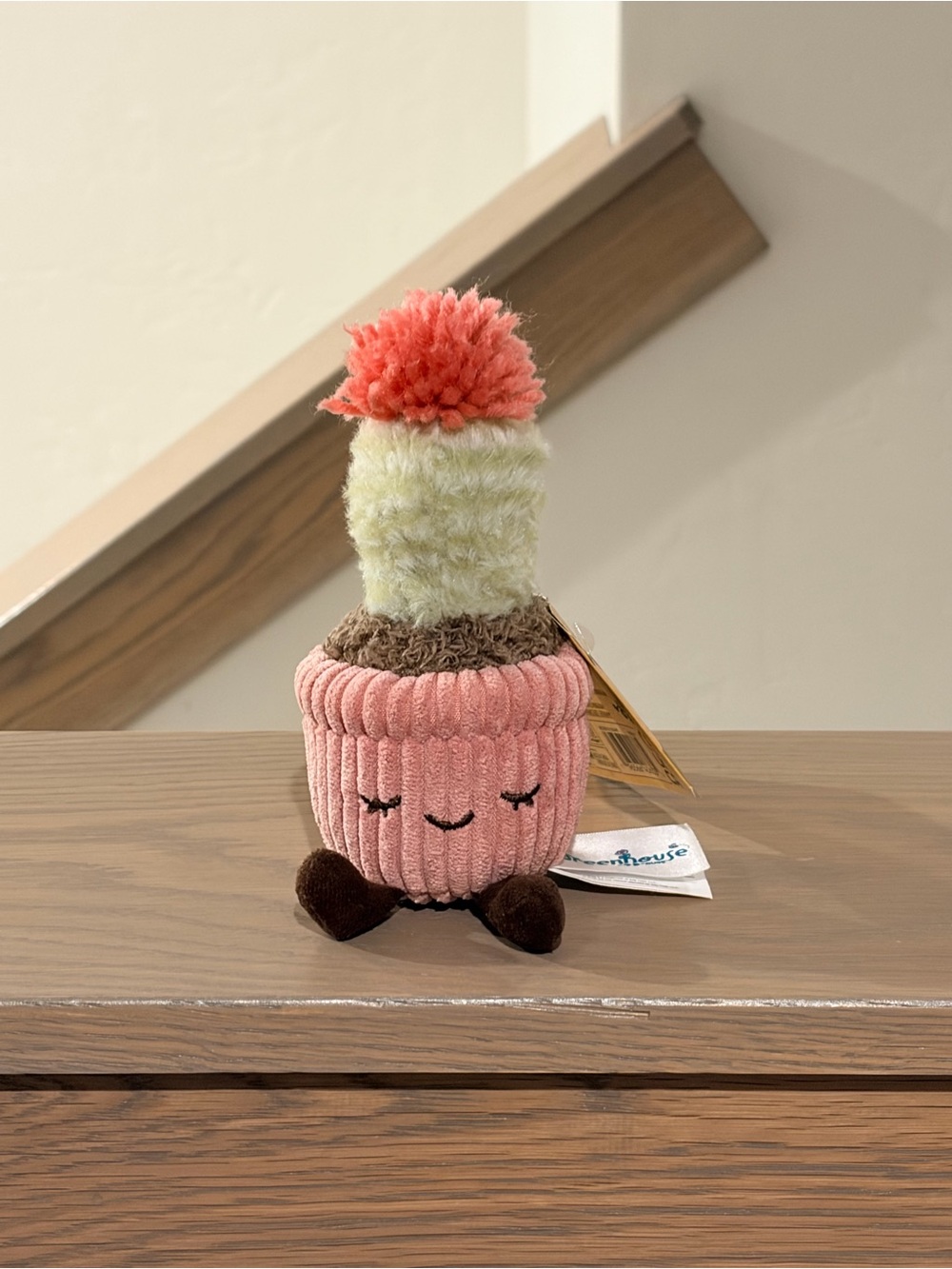 🌱 Greenhouse Russ Mara Flowering Cactus Mini Plush Potted Plant Corduroy 6” BNWT